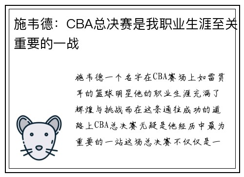 施韦德：CBA总决赛是我职业生涯至关重要的一战
